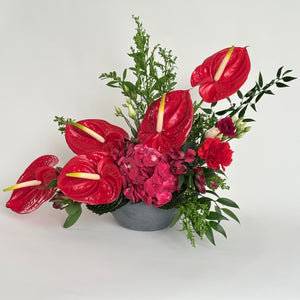 The Anthurium Arrangment