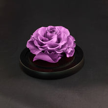 vanity rose, beautiful on our vanity table