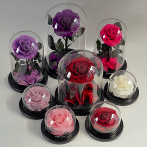 vanity rose, beautiful on our vanity table